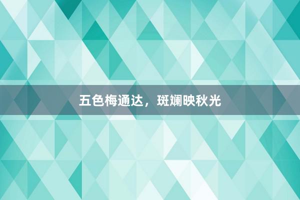 五色梅通达，斑斓映秋光