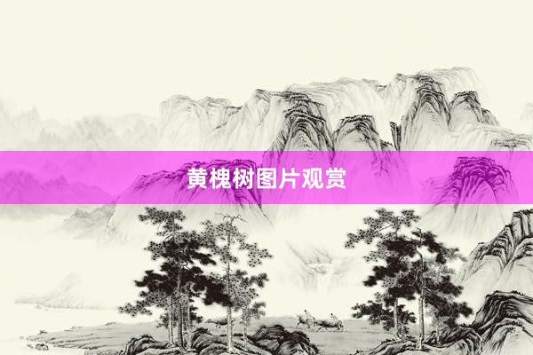 黄槐树图片观赏