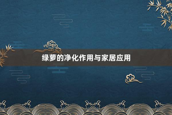 绿萝的净化作用与家居应用