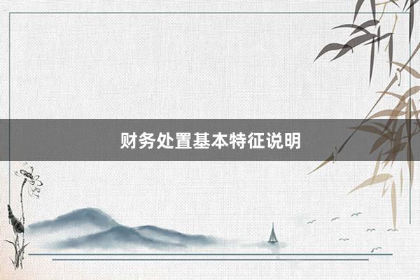 财务处置基本特征说明